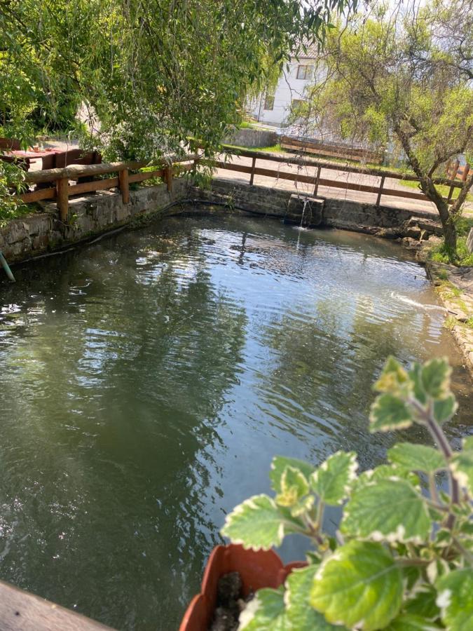 Pensiune Pastravarie La Pintea Haiducu Deseşti Exterior foto