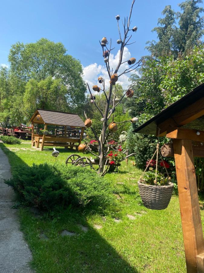 Pensiune Pastravarie La Pintea Haiducu Deseşti Exterior foto