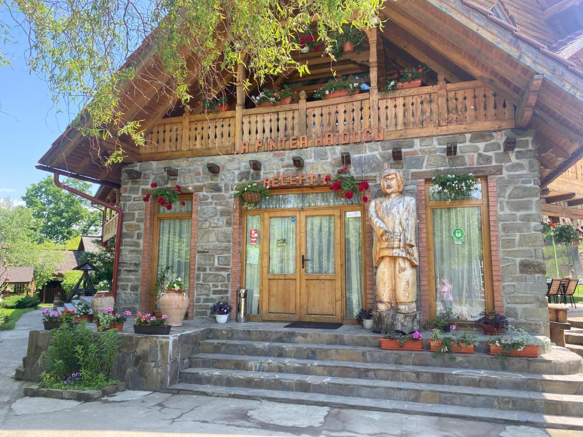 Pensiune Pastravarie La Pintea Haiducu Deseşti Exterior foto