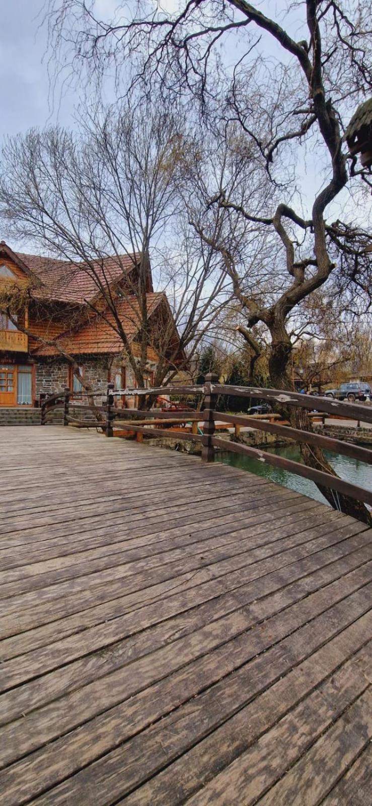 Pensiune Pastravarie La Pintea Haiducu Deseşti Exterior foto