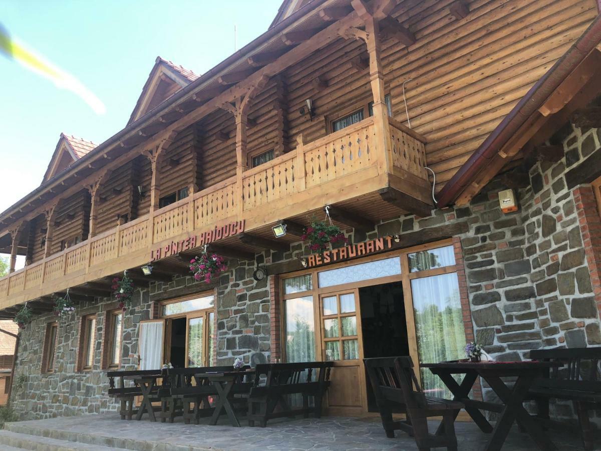 Pensiune Pastravarie La Pintea Haiducu Deseşti Exterior foto