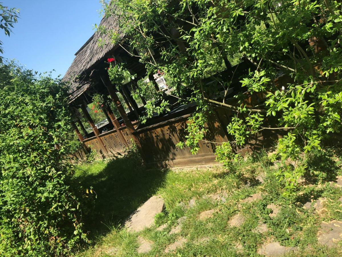 Pensiune Pastravarie La Pintea Haiducu Deseşti Exterior foto